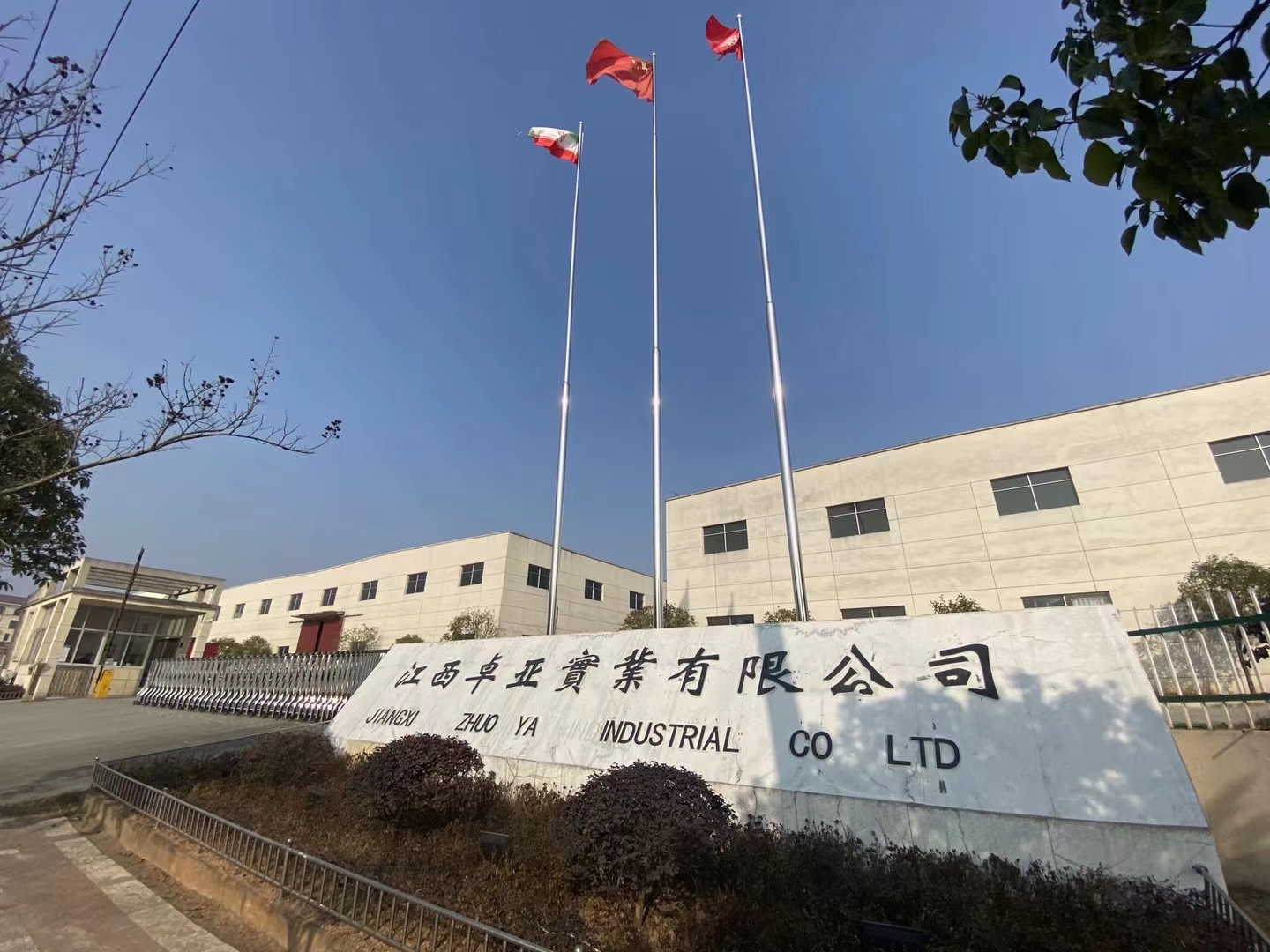 Jiangxi Zhuoya Industrial Co., Ltd. – 墙纸 1