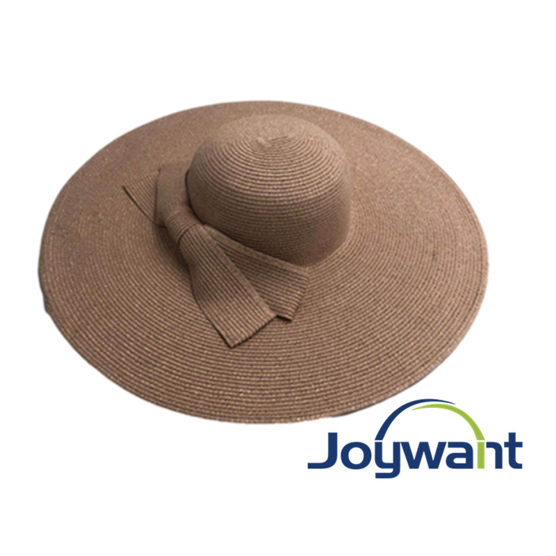 Big Brim Hat Sun Hat Beach Hat Vacation Hat