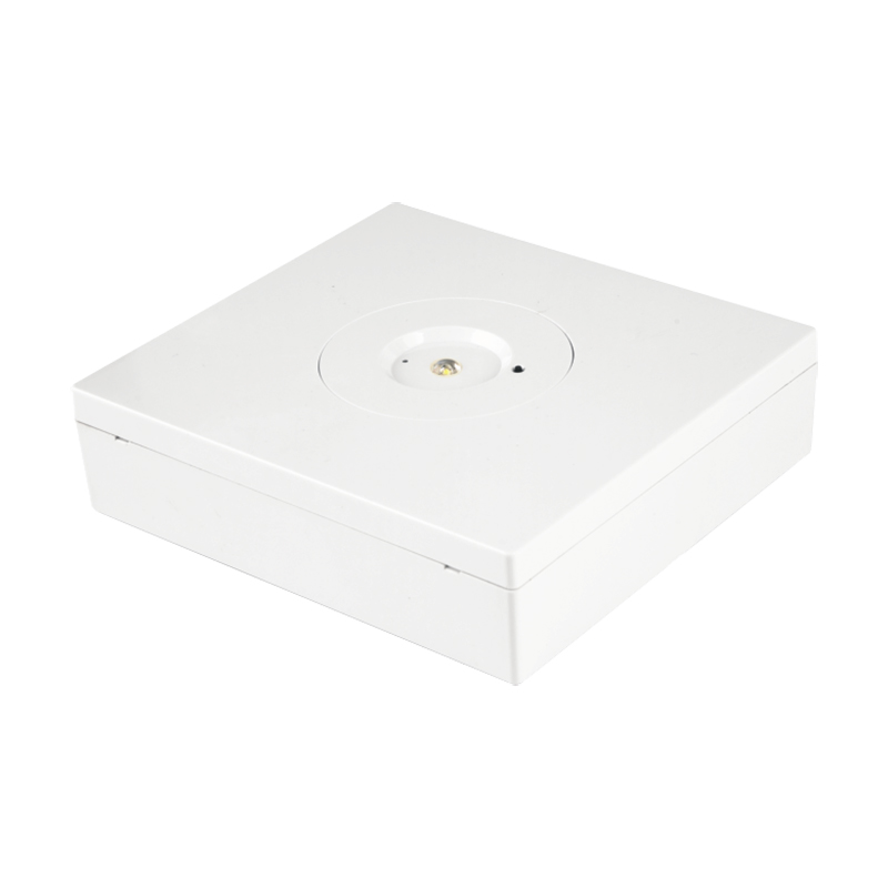 4.5w Emergency Downlight 170lm