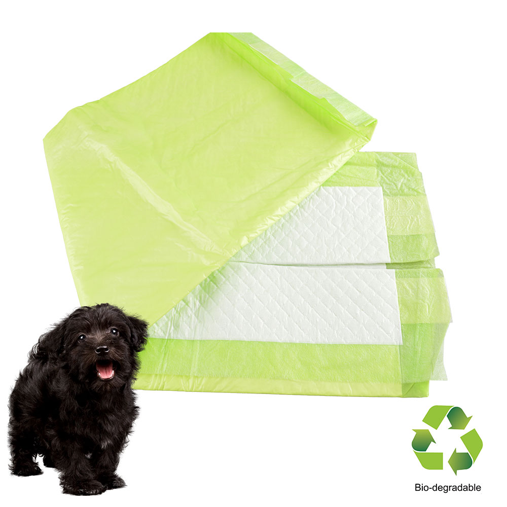 Eco-friendly puppy training pads