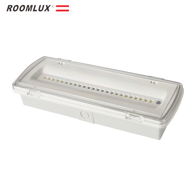 ROOMLUX UNITED CORPORATION – Agents 3