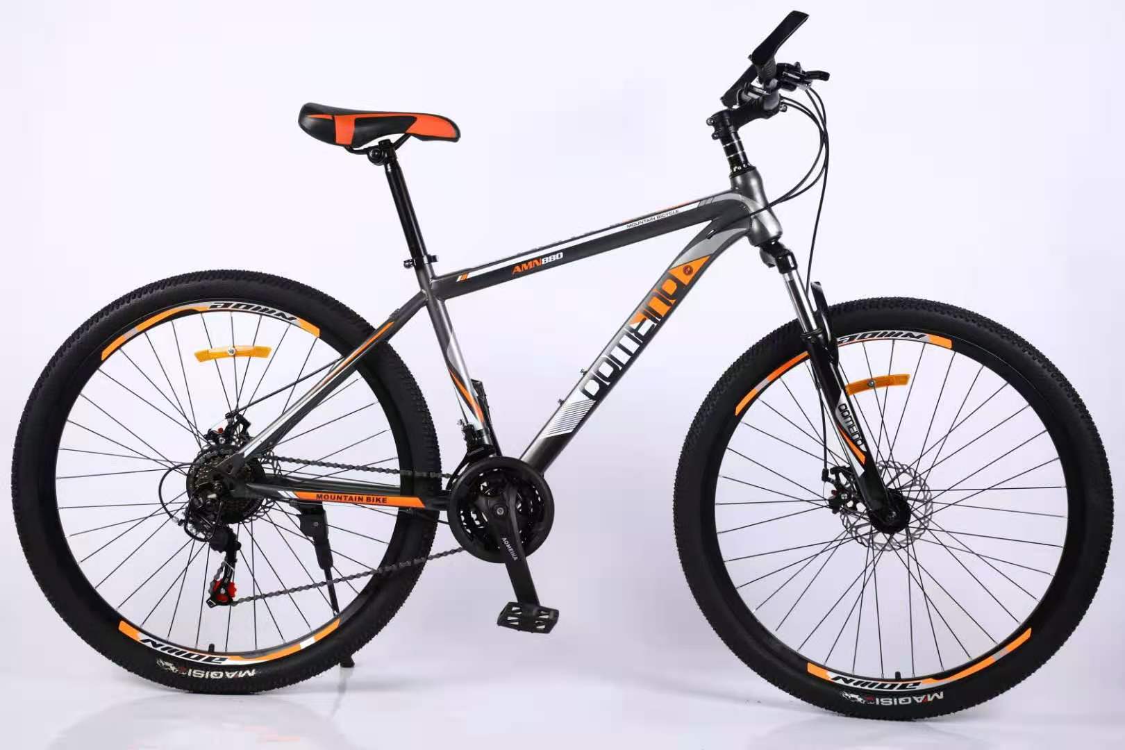 New adult bike and MTB