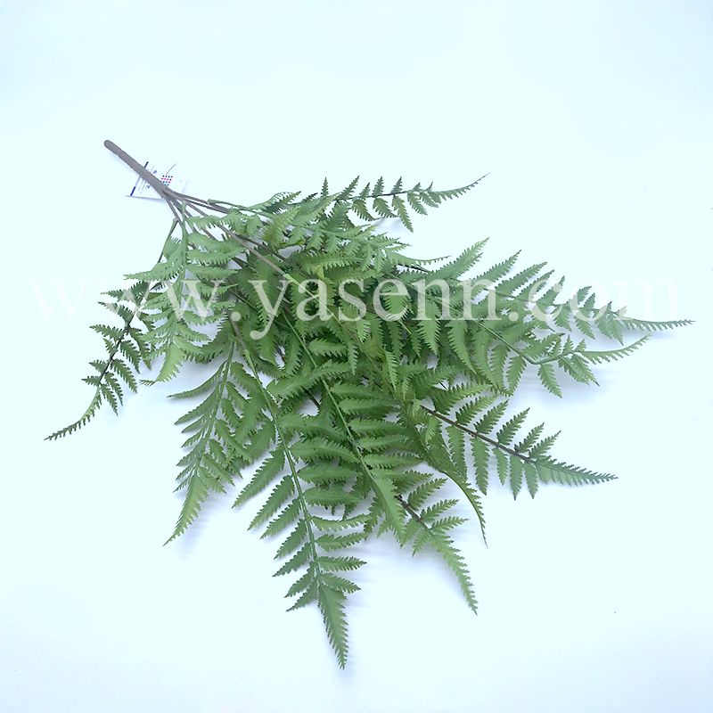 6 branches of fern leaves