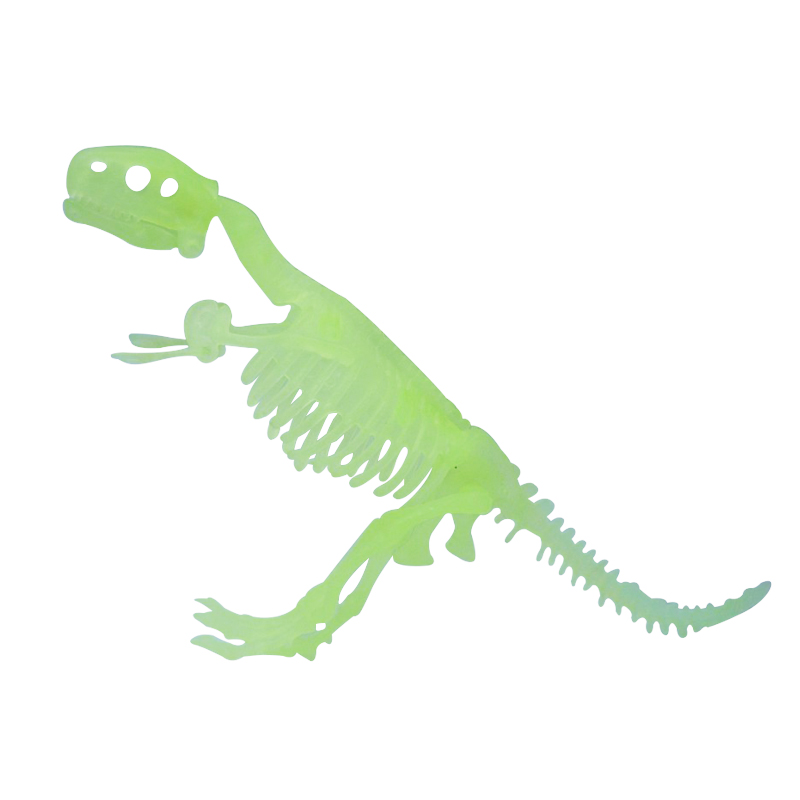 D.i.y Dinosaur Skeleton