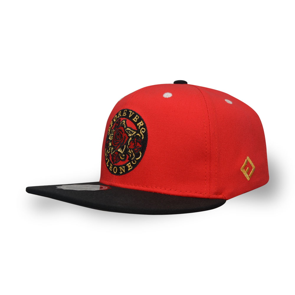 6 panel embroidery cotton twill snapback cap
