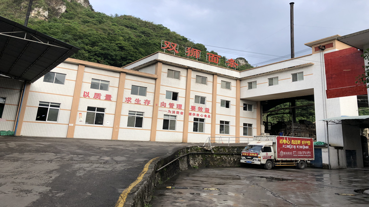 Hechi Shuangshi Grain and Oil Co., Ltd. – noodles 1