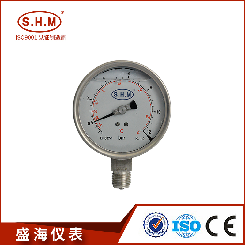 CHANGZHOU SHENGHAI METERS CO., LTD. – molde de inyección 1