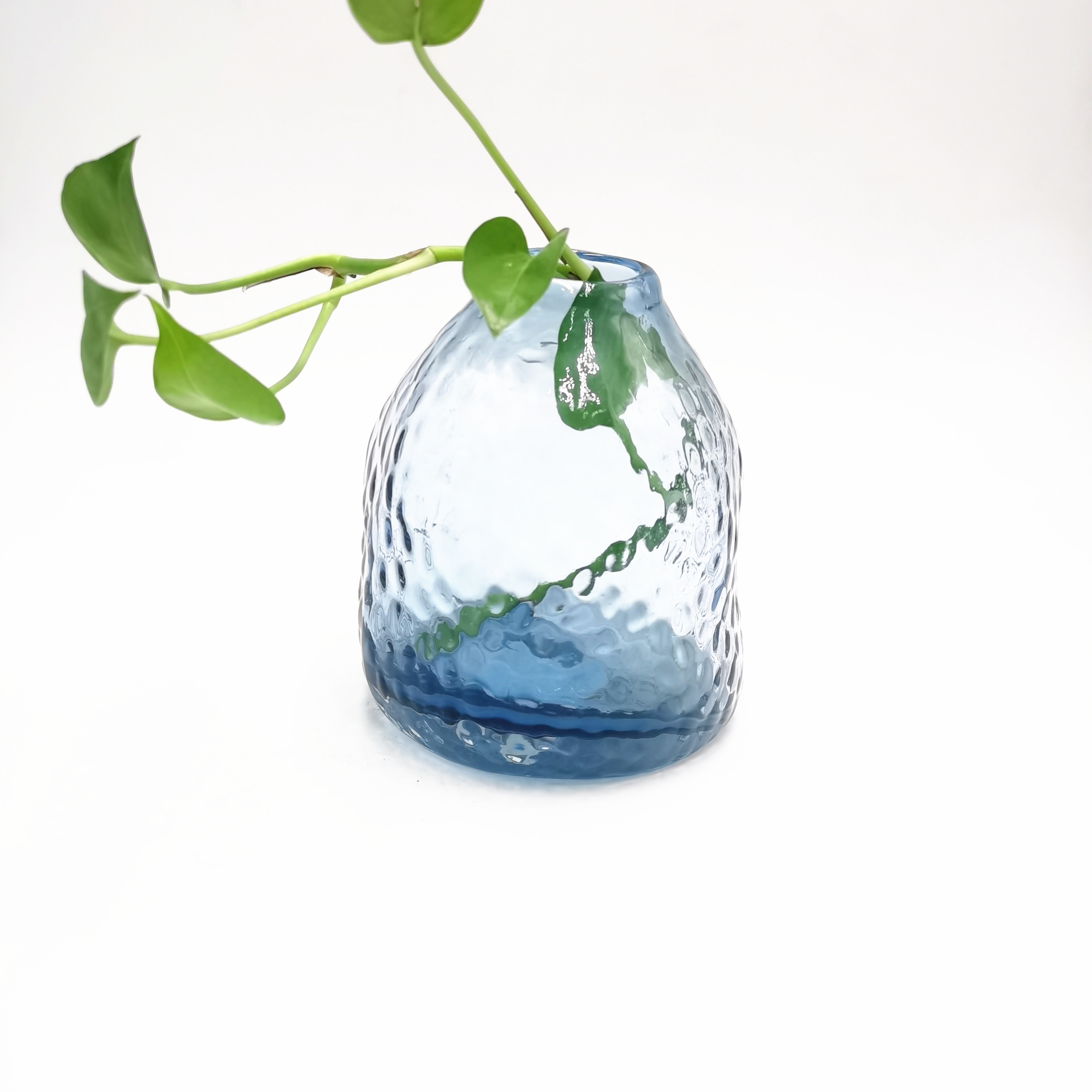 Ins unique shape glass vase for home decoration