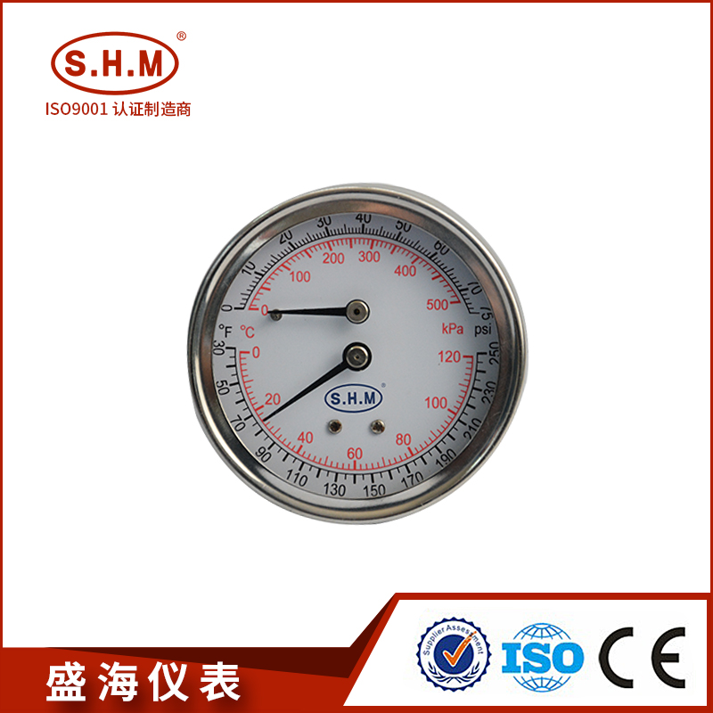 Pressure &Temperature Gauge