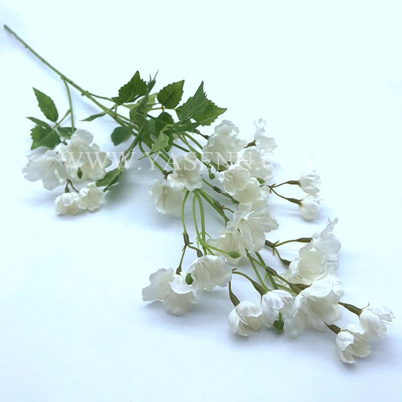 Single flower