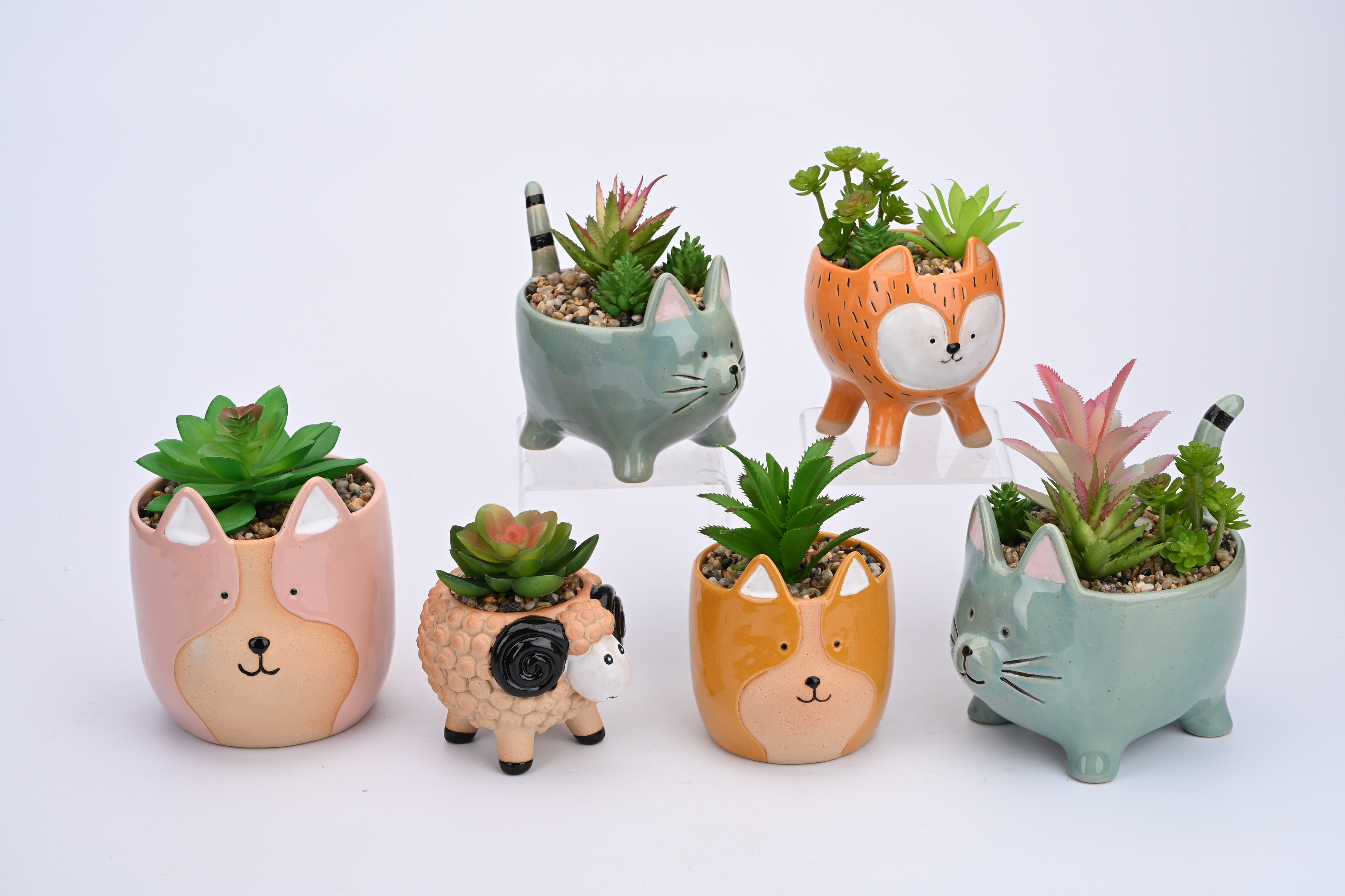 Succulent small flower pot