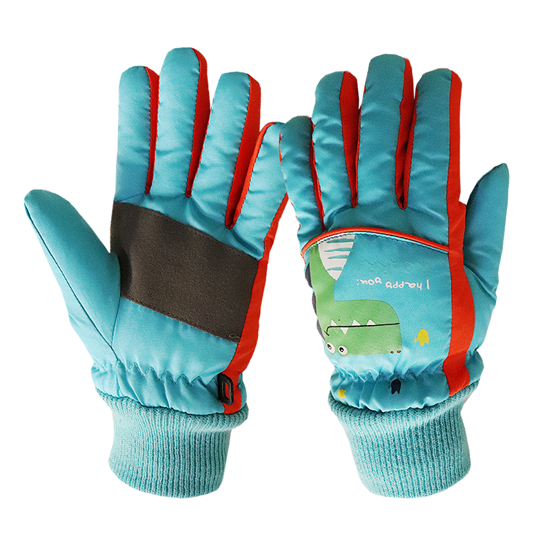 Ski Glove