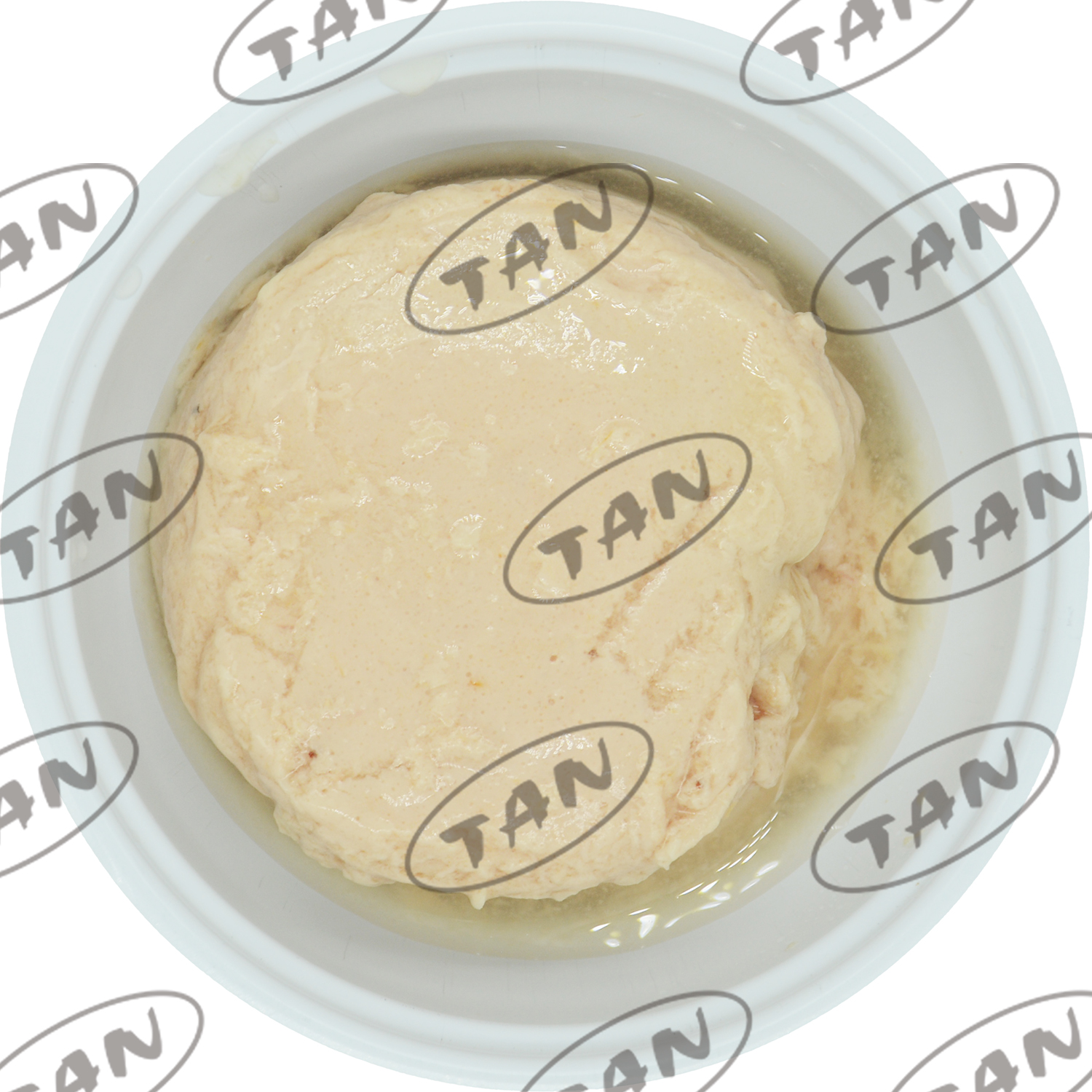 ZHANGZHOU TAN CO., LTD.,FUJIAN – Canned fruit 4