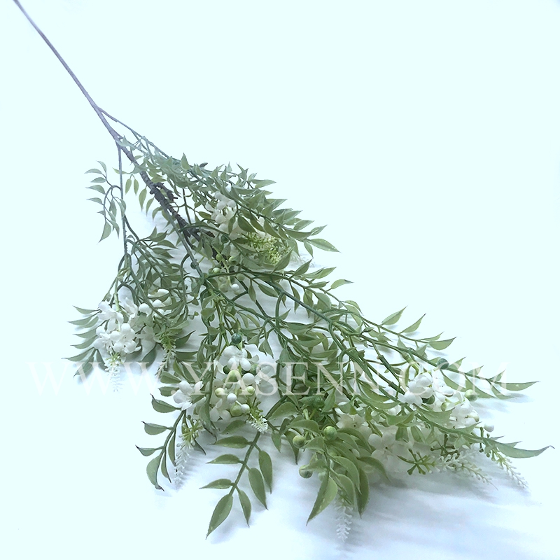 Single jasmine