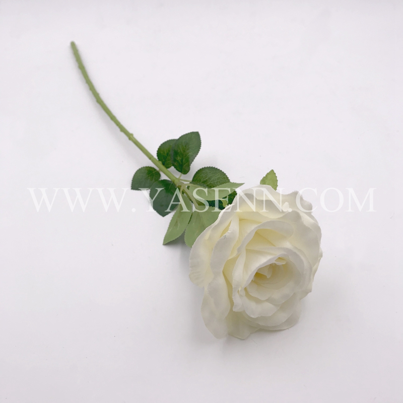 Single rose