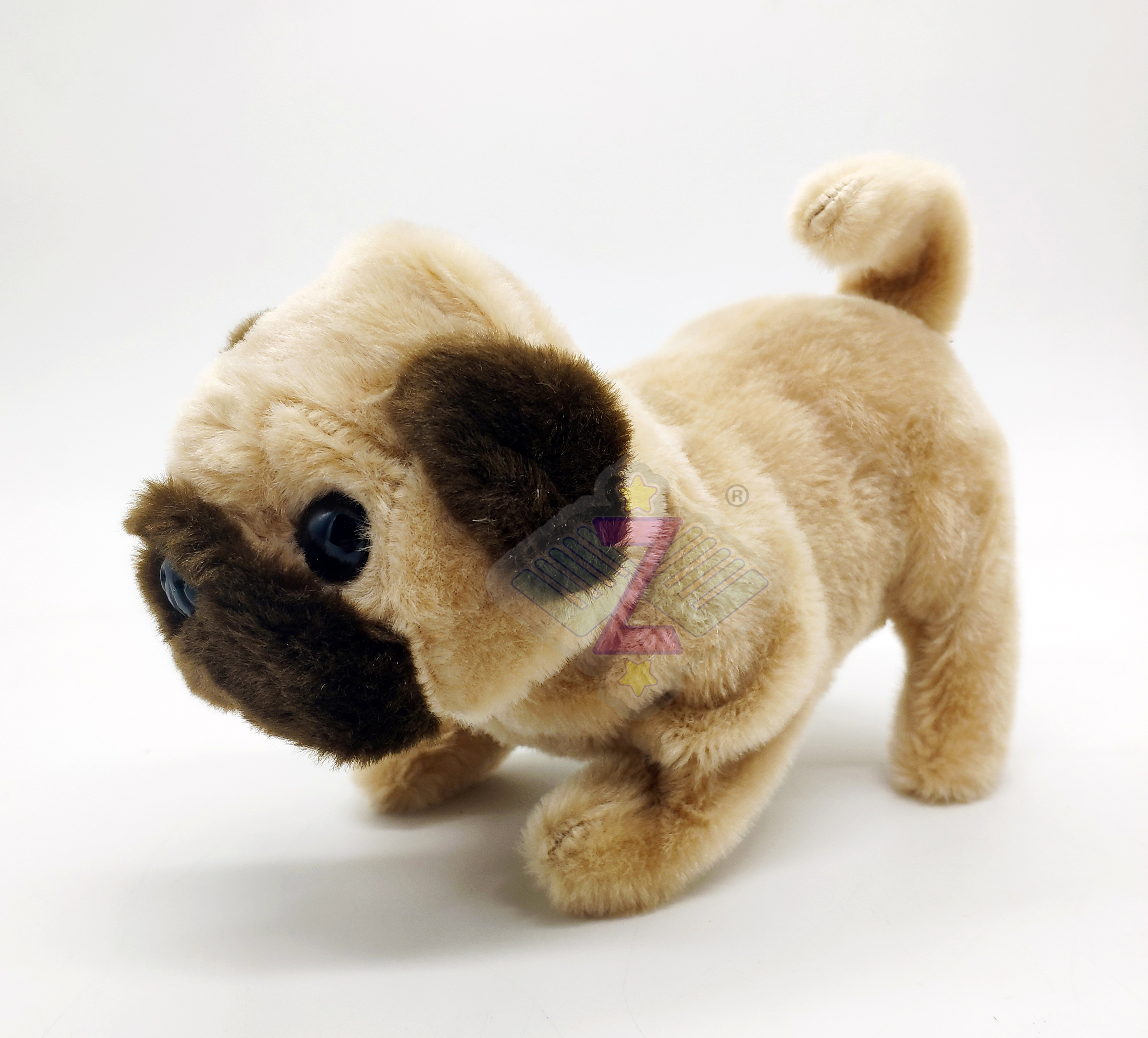 pug