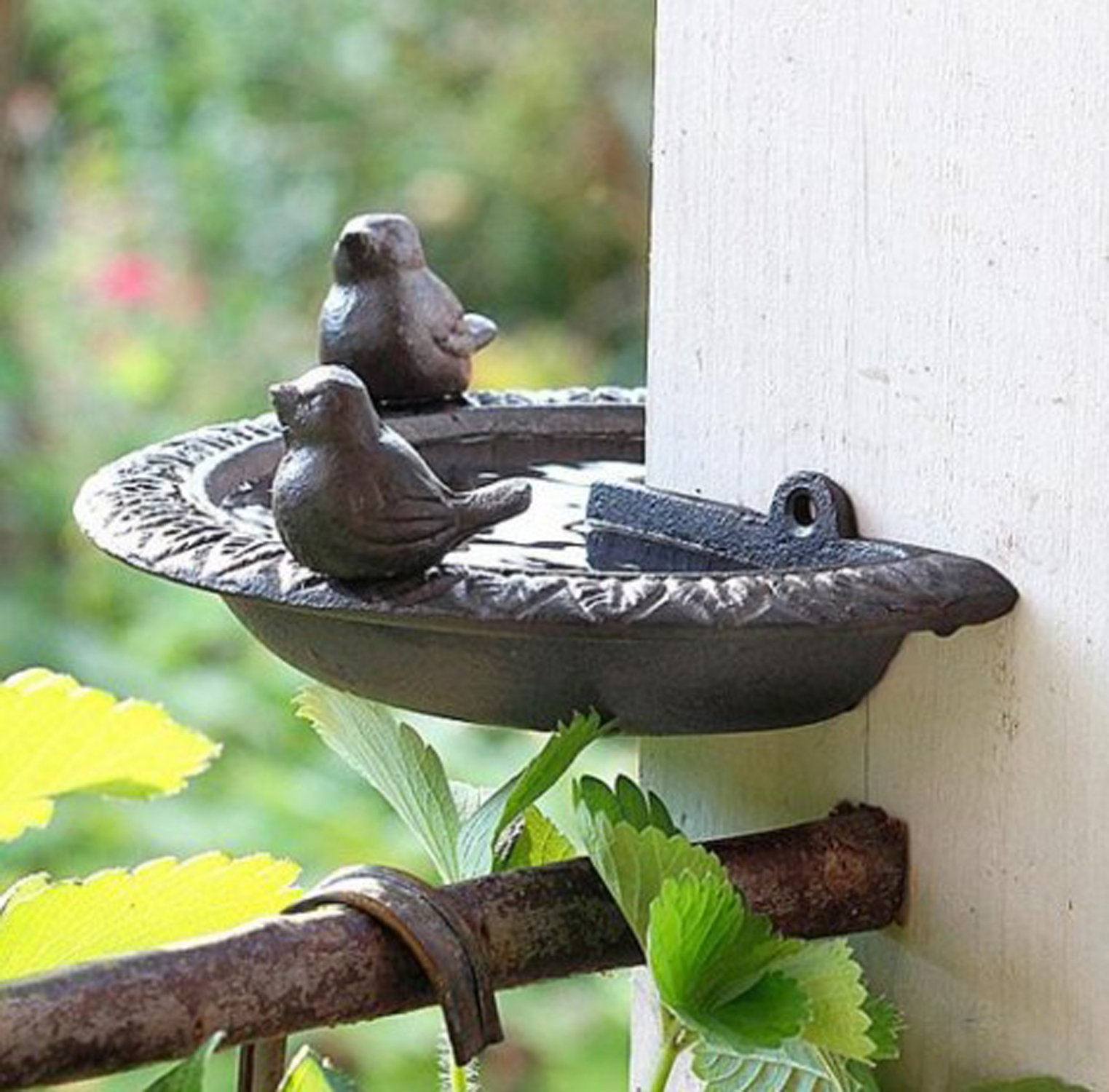 Cast Iron