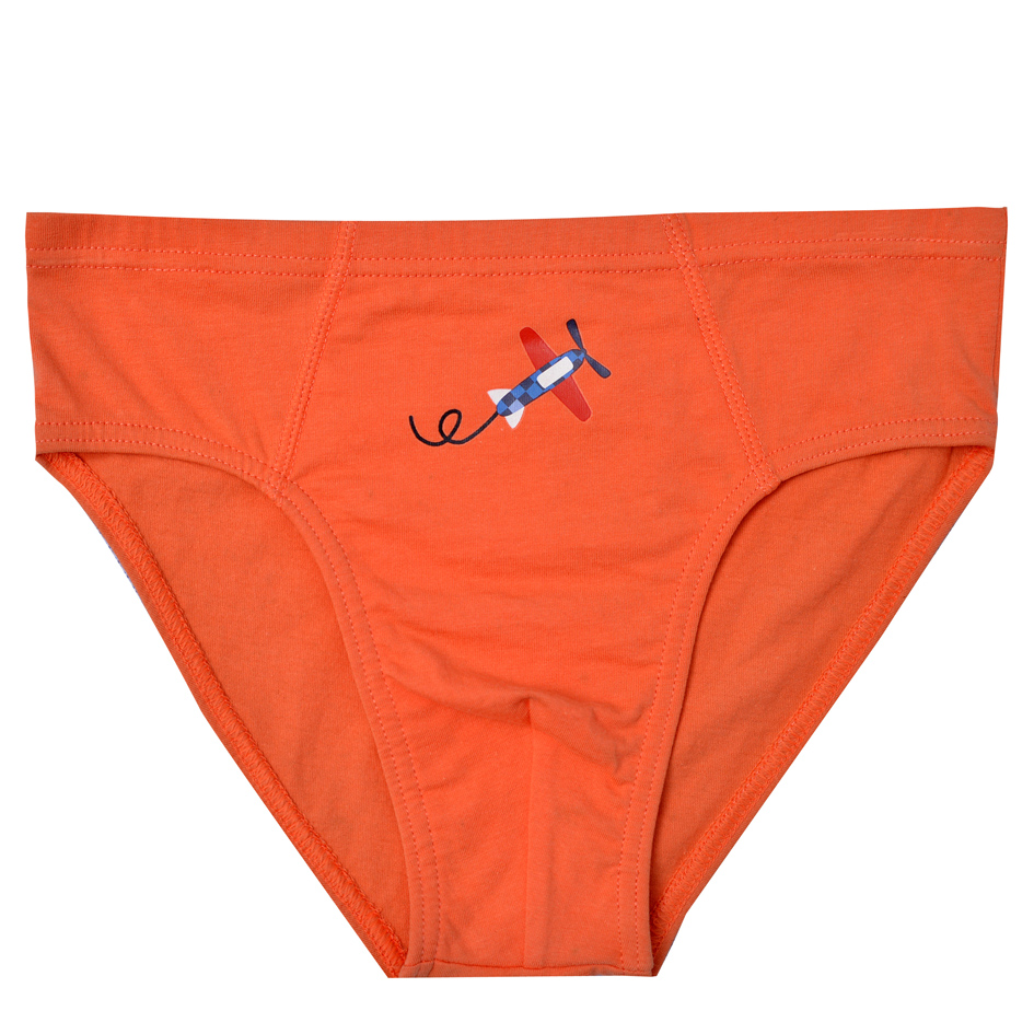 Boy's Skin Comfortable Cotton Brief