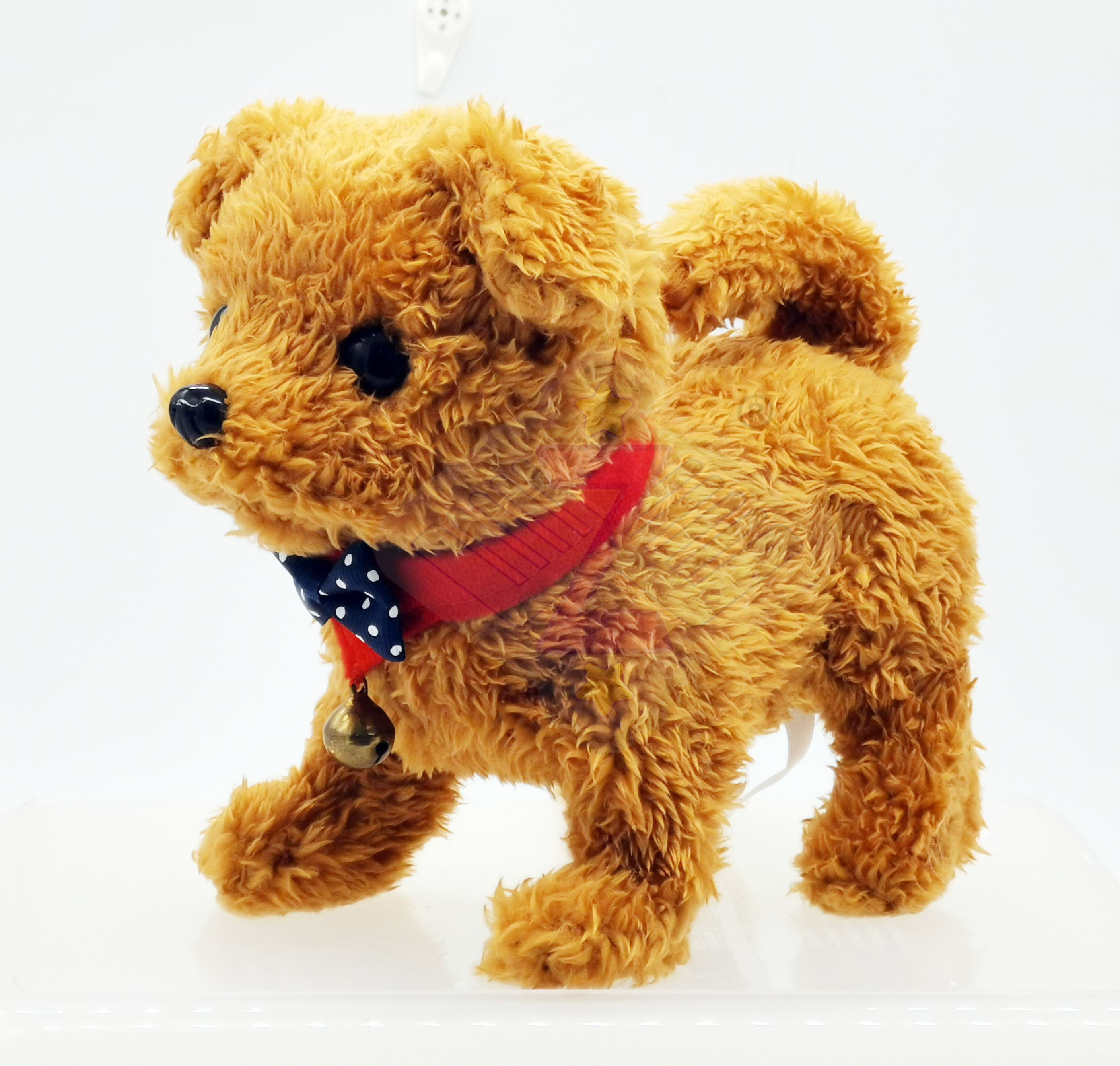 Prosperous dog