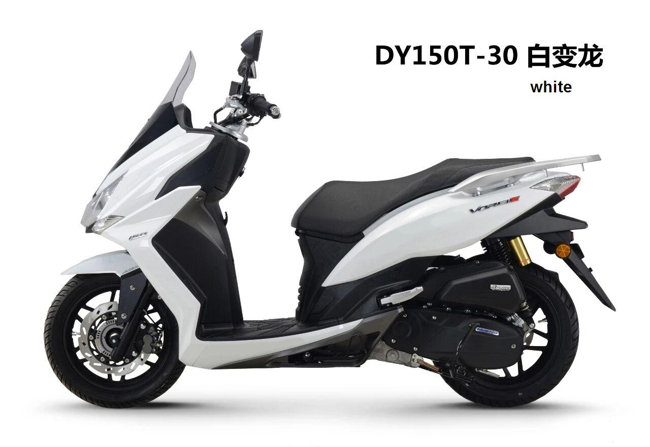 Dayang motorcycle DY DY125T-30/DY150T-30