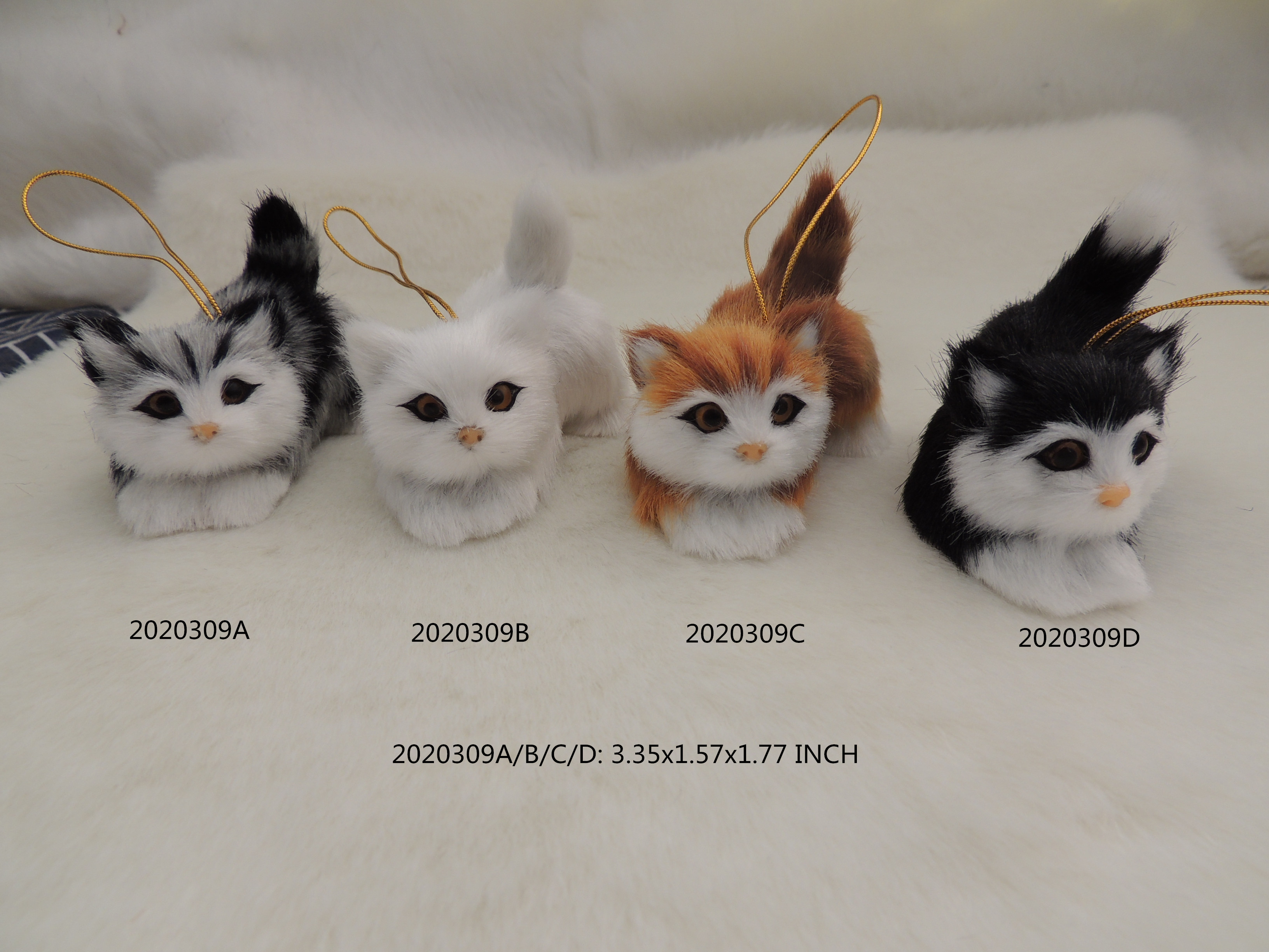 Set of for cats