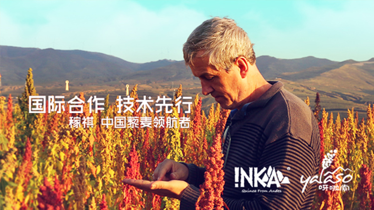 Shanxi Plant Extract Technology Co., Ltd. – Photos produits 3