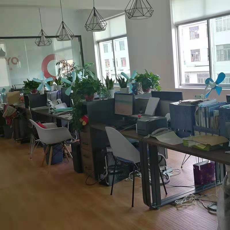 Hainan Dongfang Caifu Trading Co., Ltd. – Photos produits 3