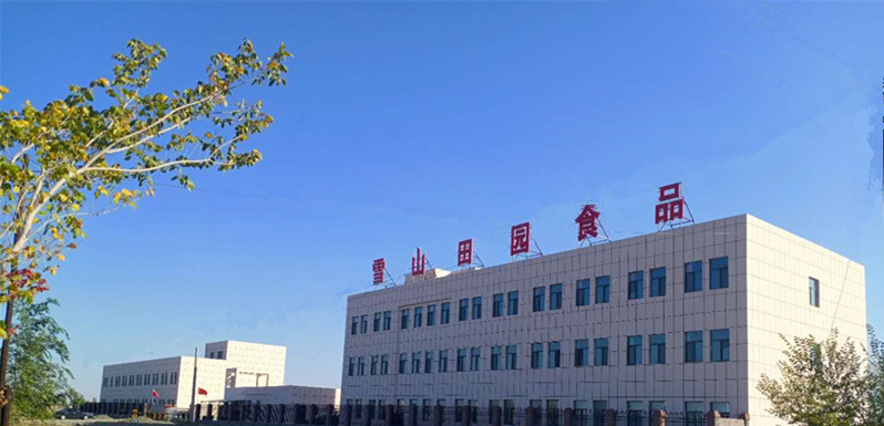Xinjiang Snowmountain Pastoral Food Technology Co., Ltd. – pine nuts 2