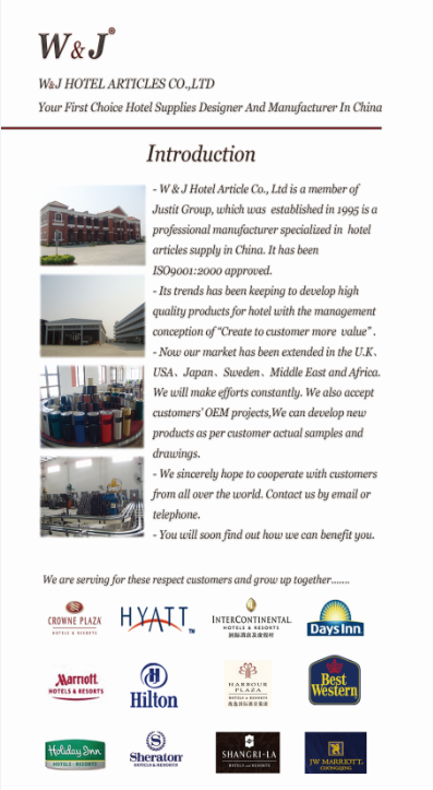 Chongqing Weijie Hotel Supplies Co., Ltd. – buffet stove 1