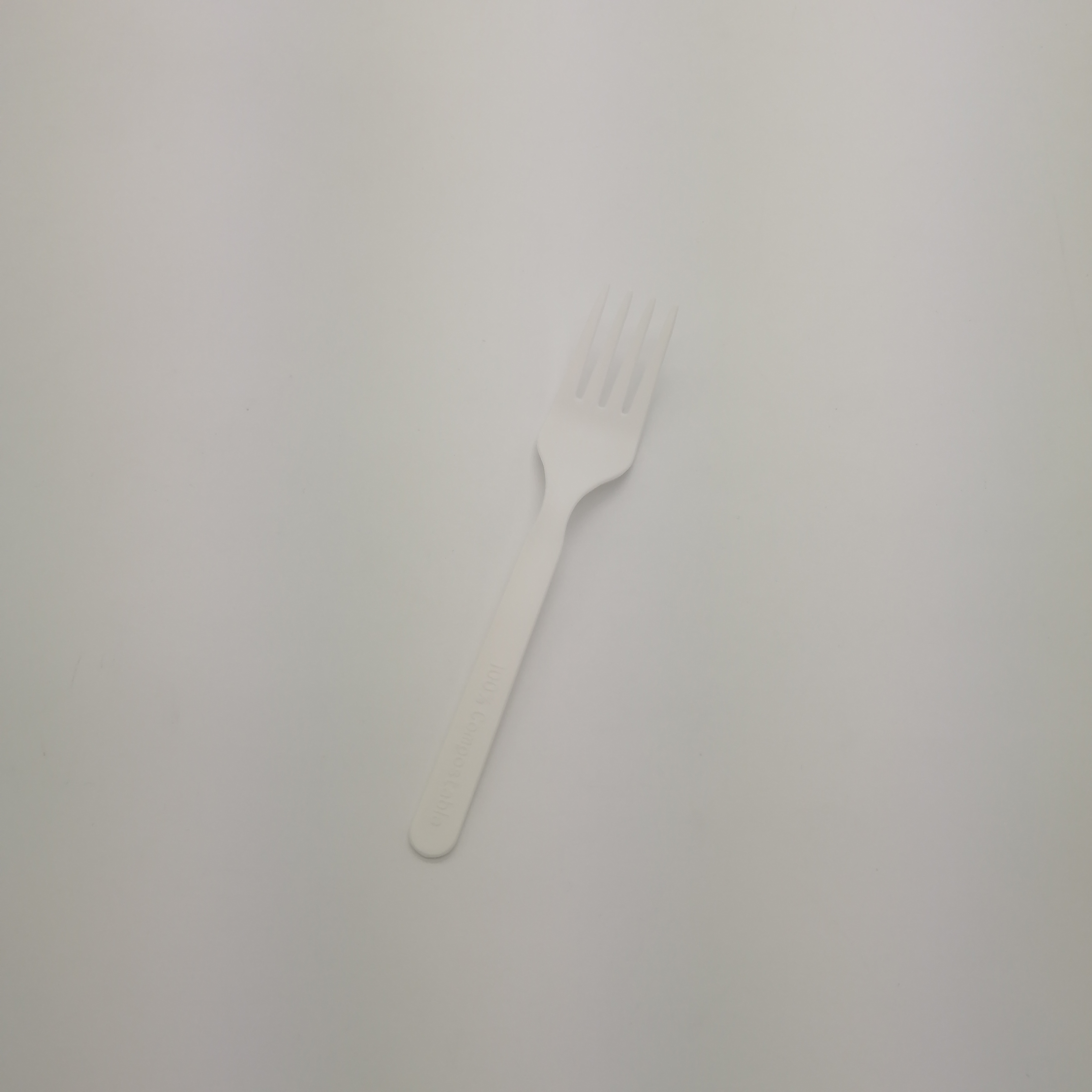 3.5g Biodegradable CPLA Fork 6.0 inch