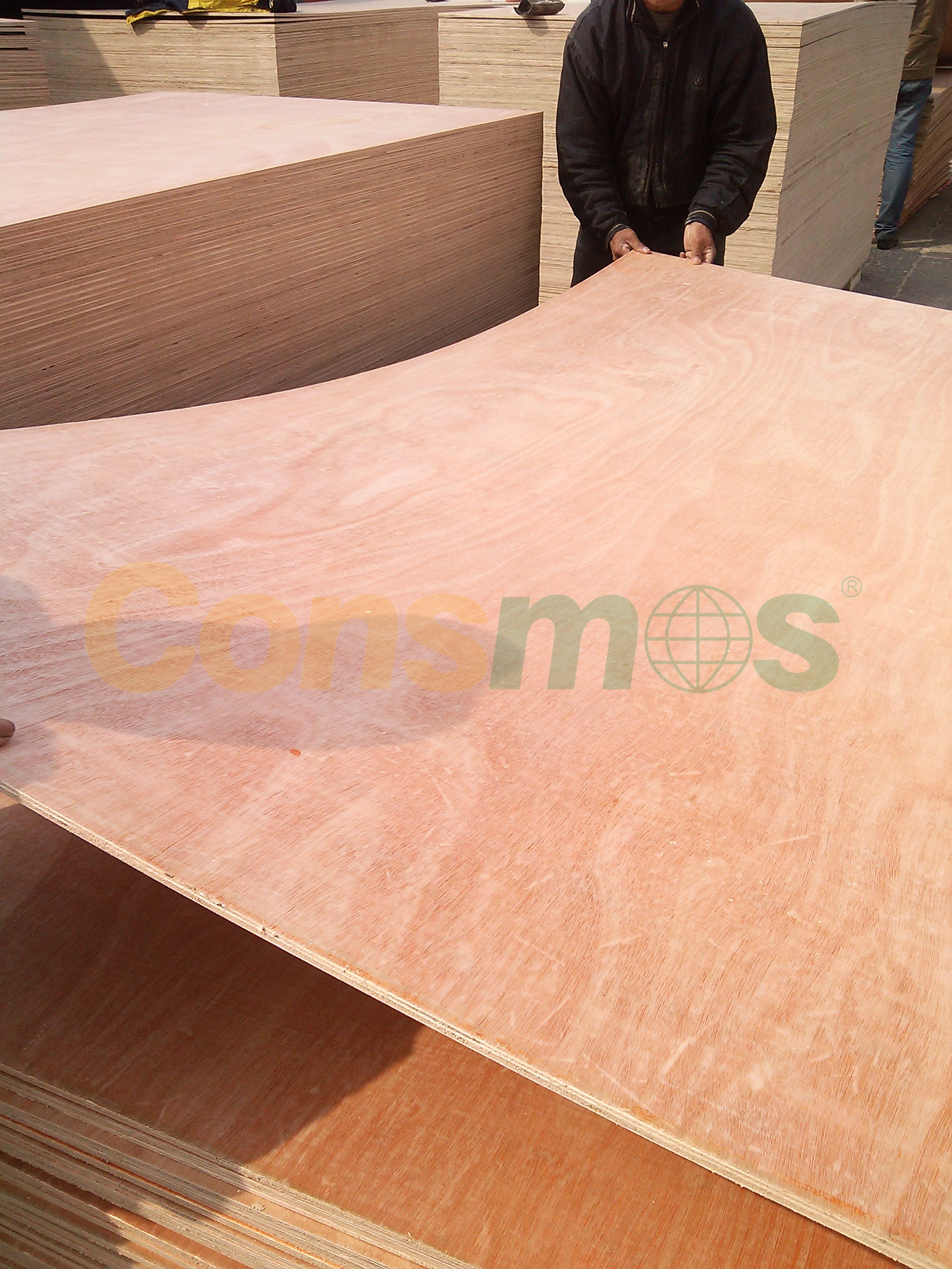 Okume plywood