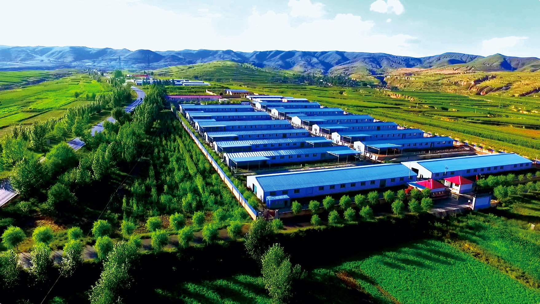 Fanshi County Tianhe Animal Husbandry Co., Ltd. – 畜肉 1