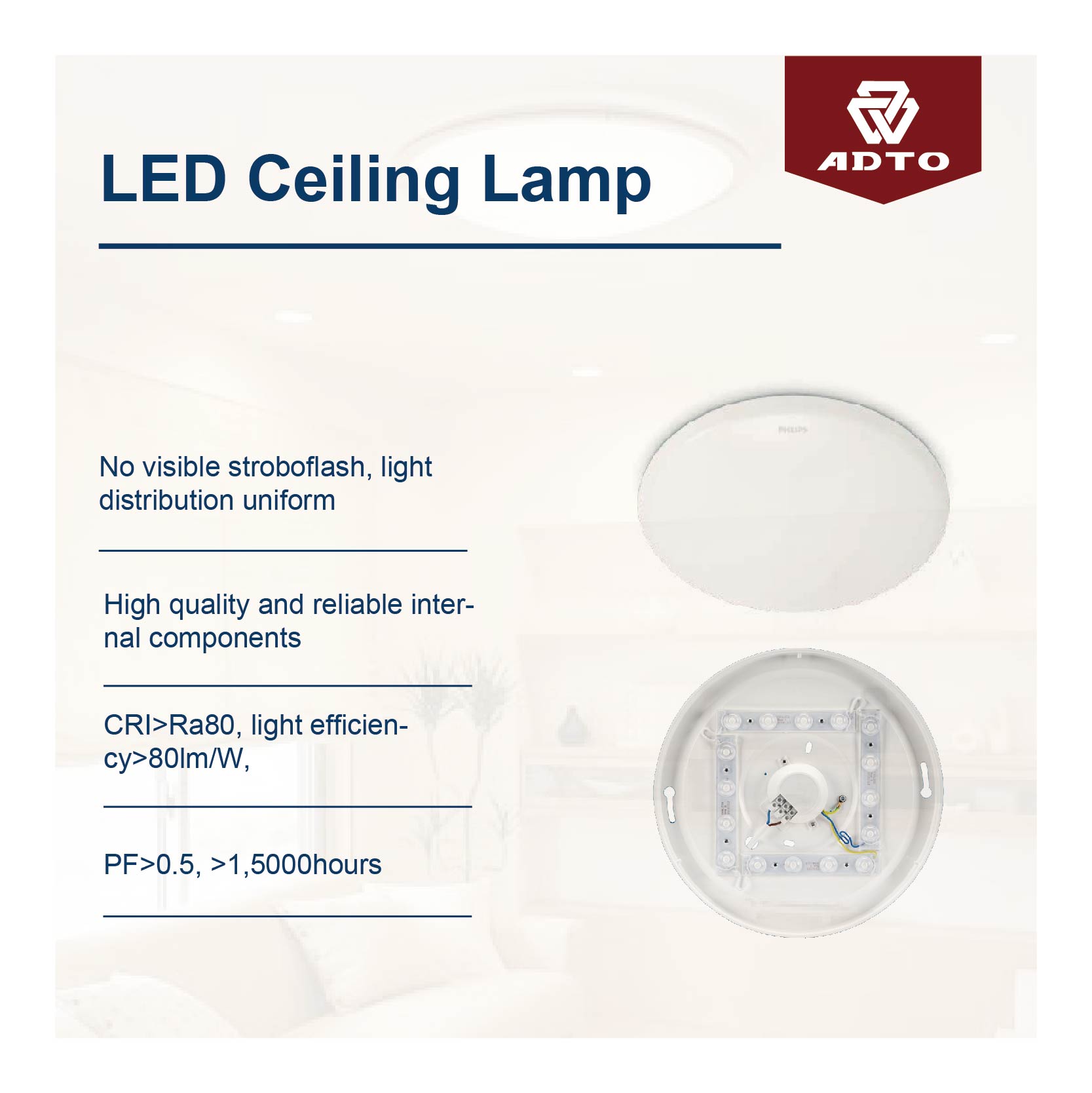 Ruoxin Led ceiling light