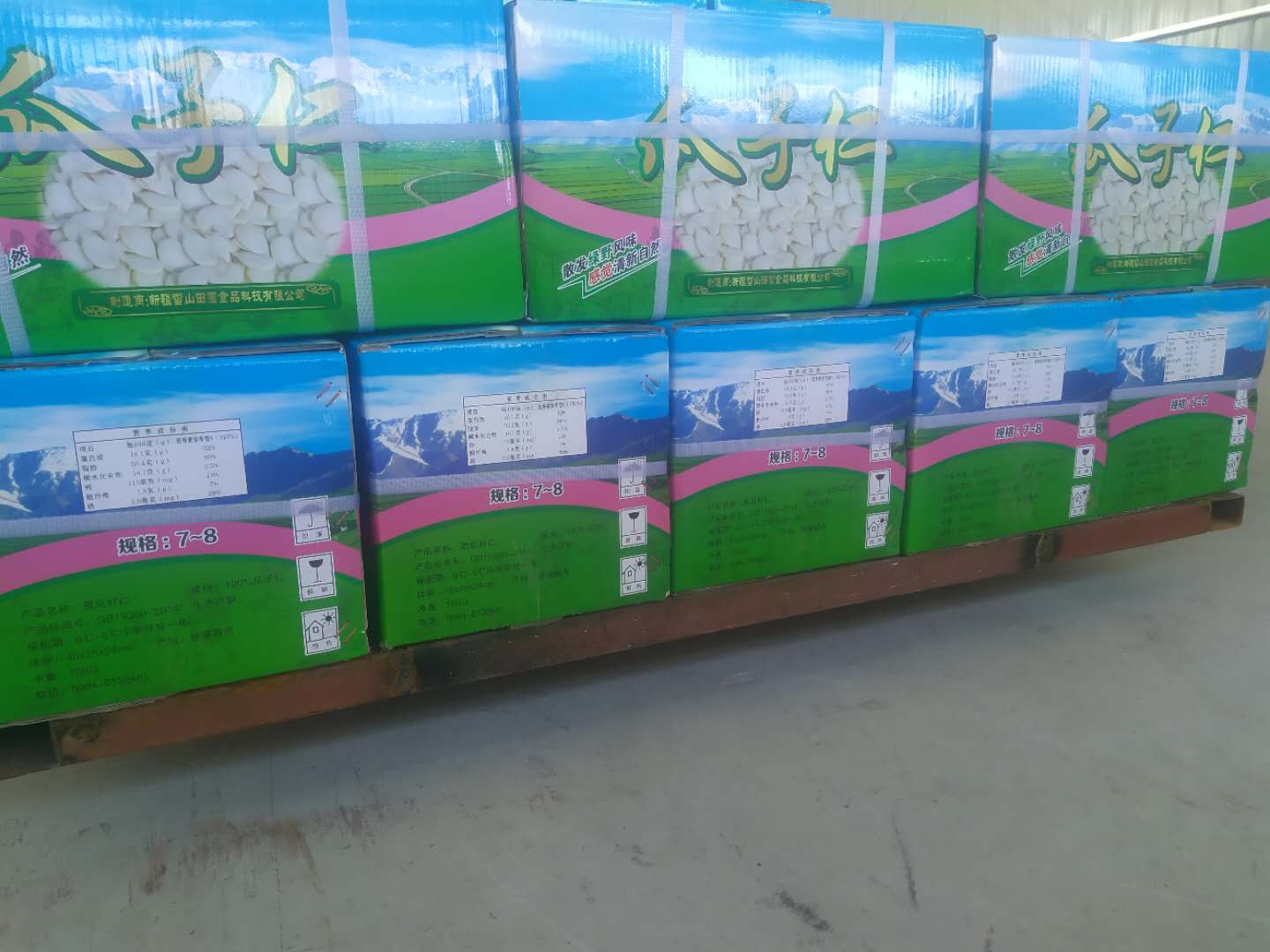 Xinjiang Snowmountain Pastoral Food Technology Co., Ltd. – Melon seeds 1