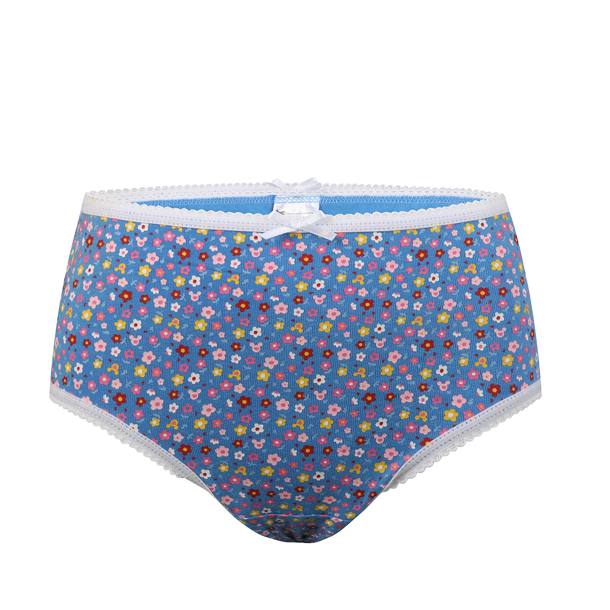 Girl's Underwear Brief Underpants