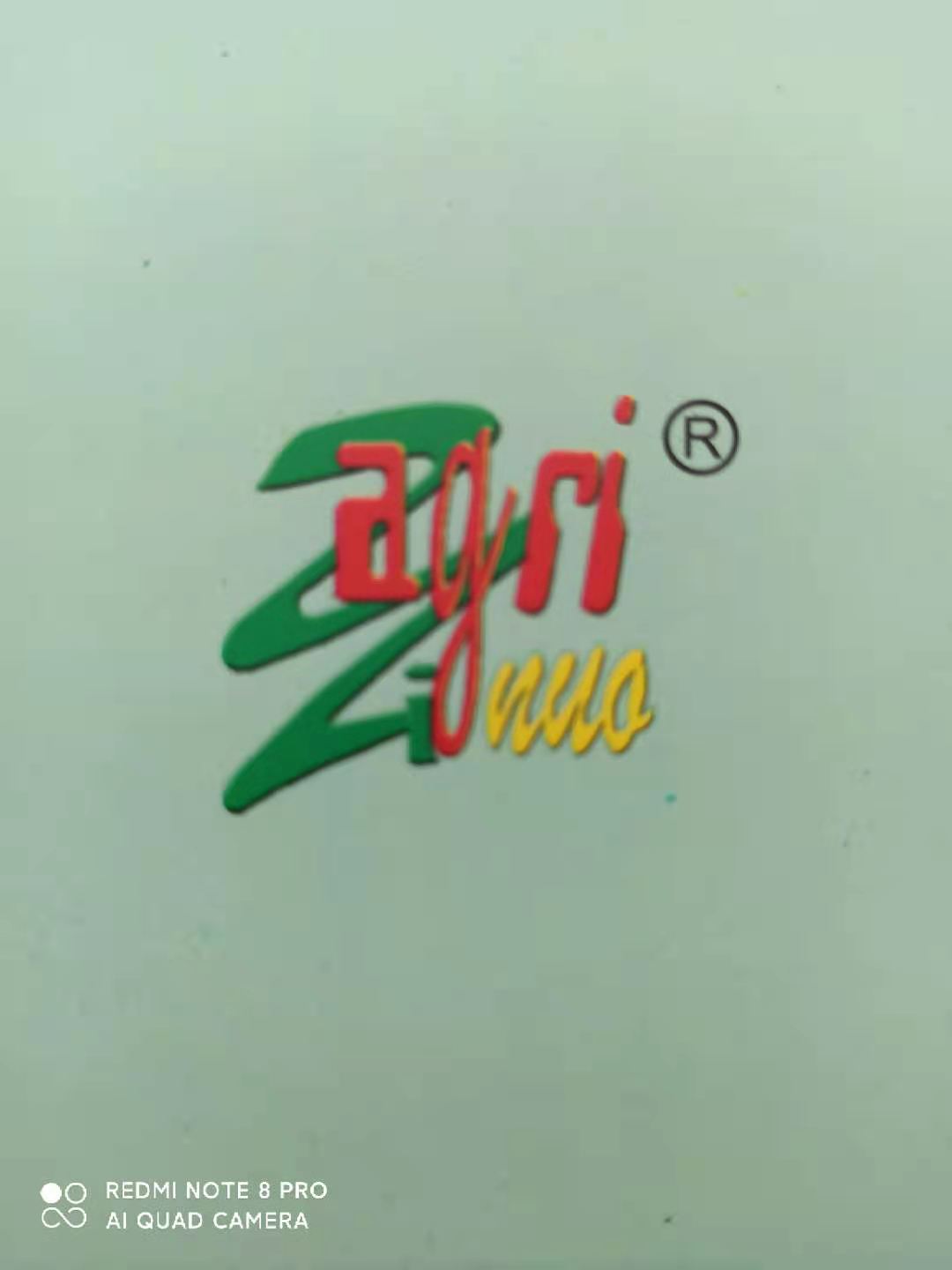 Fengxian Yinuo Agricultural and Sideline Products Co., Ltd. – Other vegetable products 1