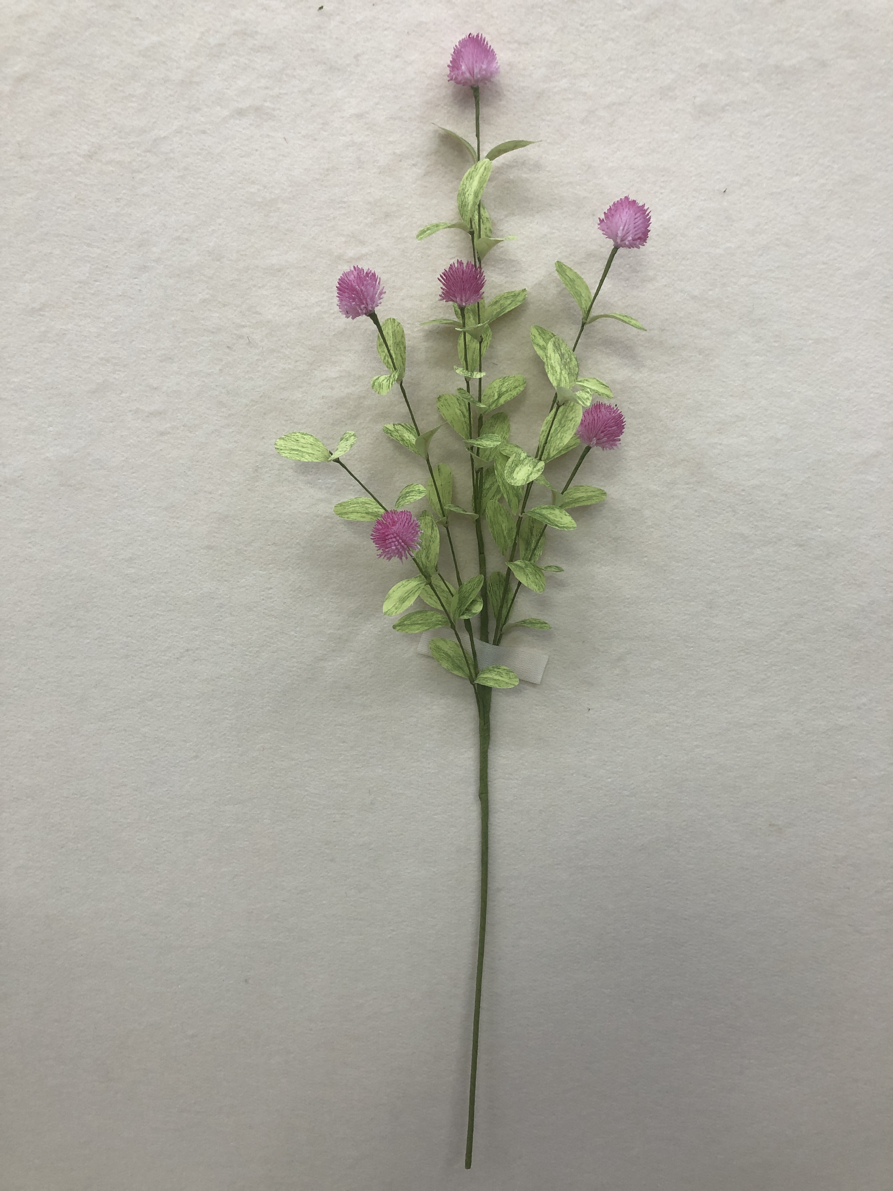 spring stem
