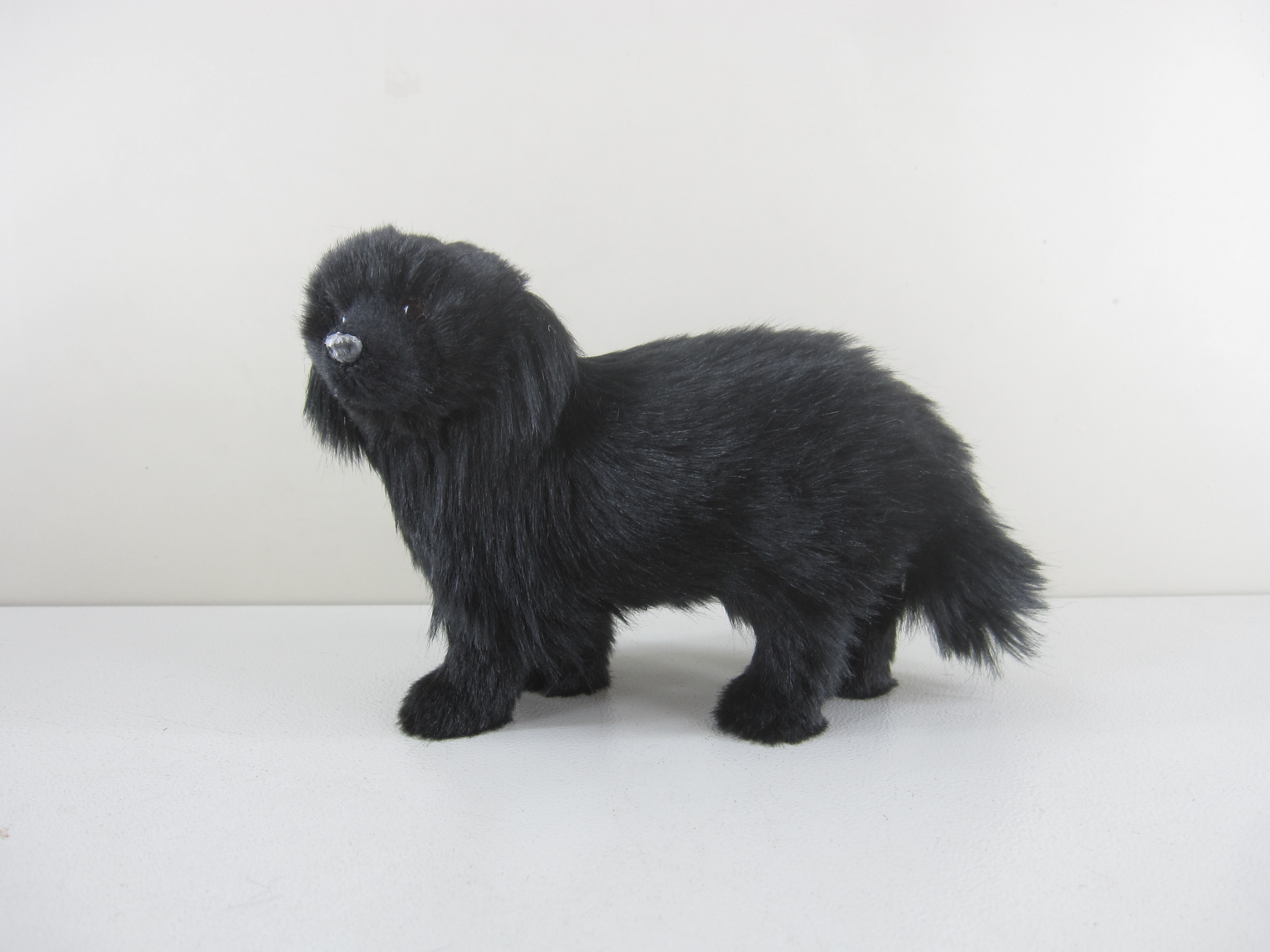 Newfoundland