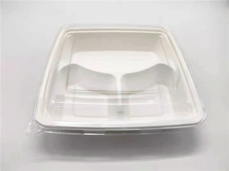 100% Biodegradable Compartment Container Sugarcane 9 inch 3 Compartment Tray