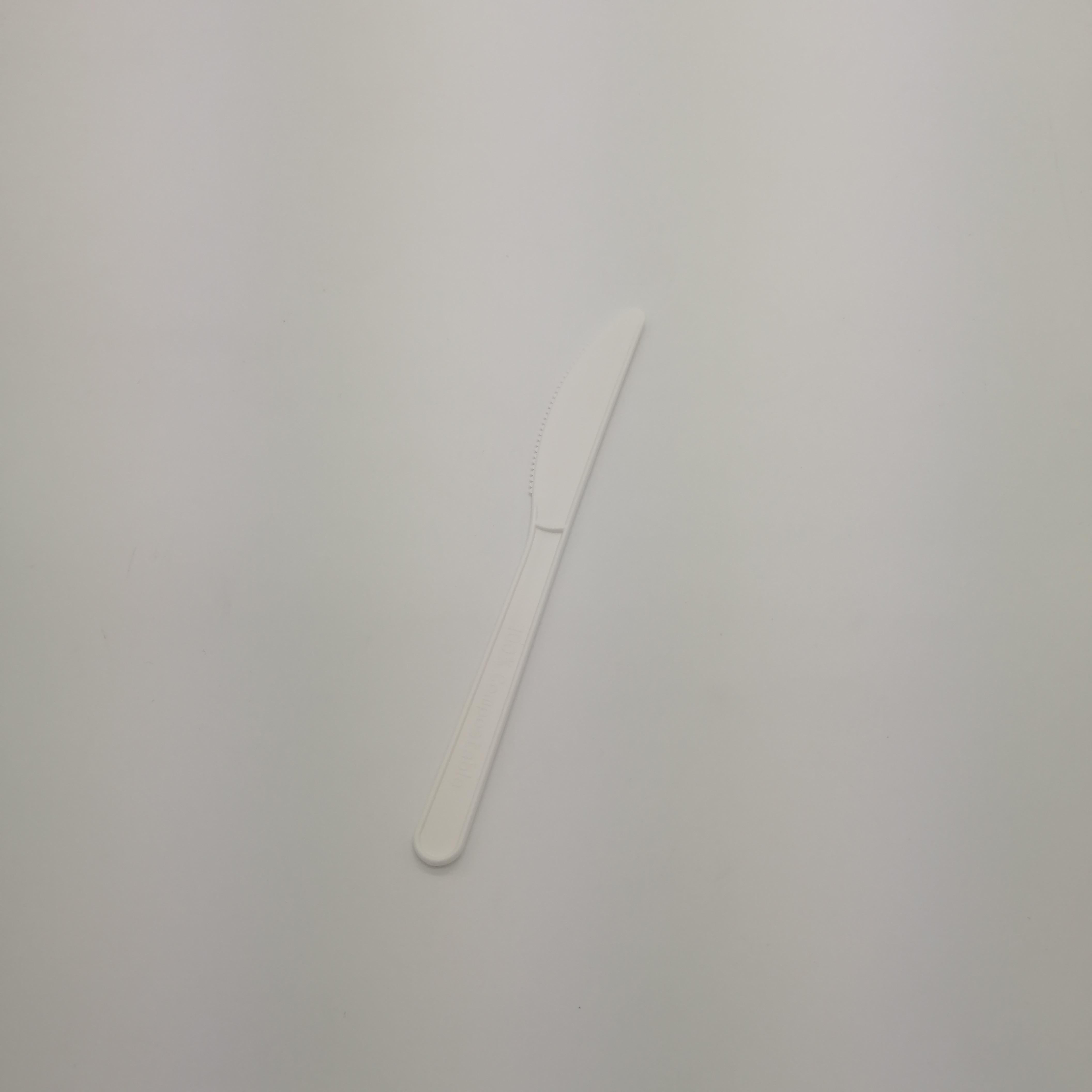 3.5g Biodegradable CPLA Spoon 6.0 inch