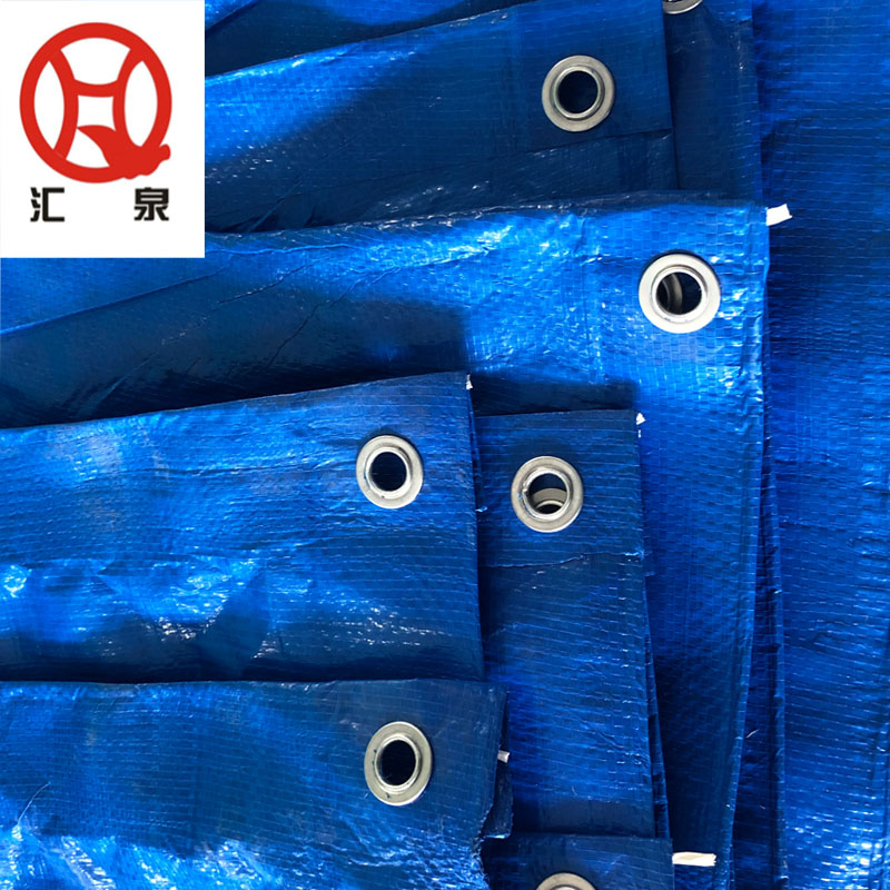 47g/m2 Blue Color 2x3m PE Tarpaulin Sheet