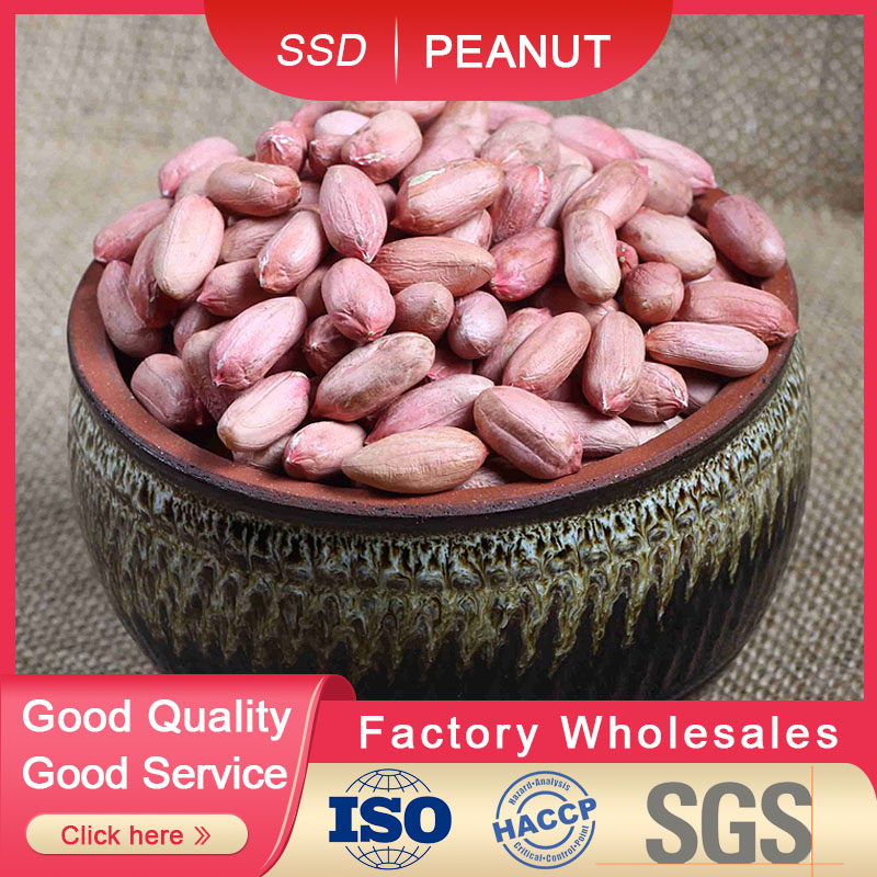 Shandong Shun Shida Food Co.,Ltd – raqueta de tenis 2