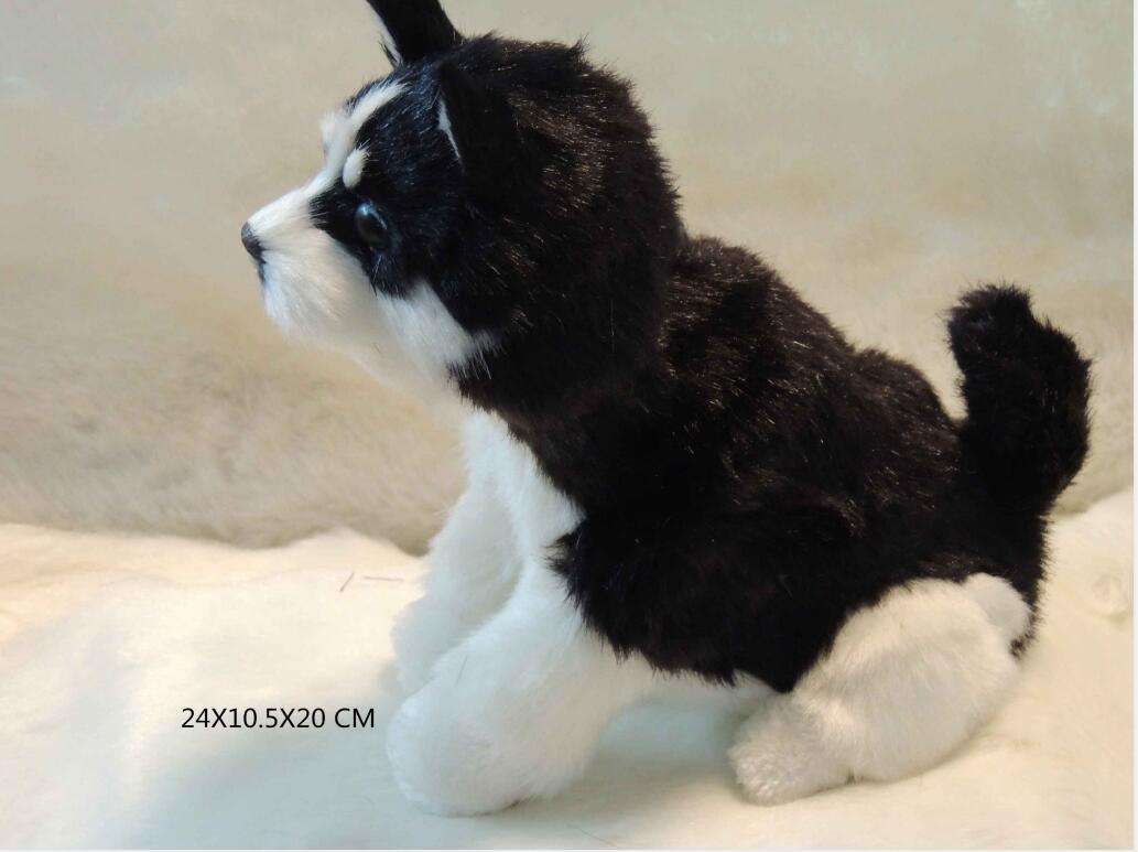 Light controlled dog