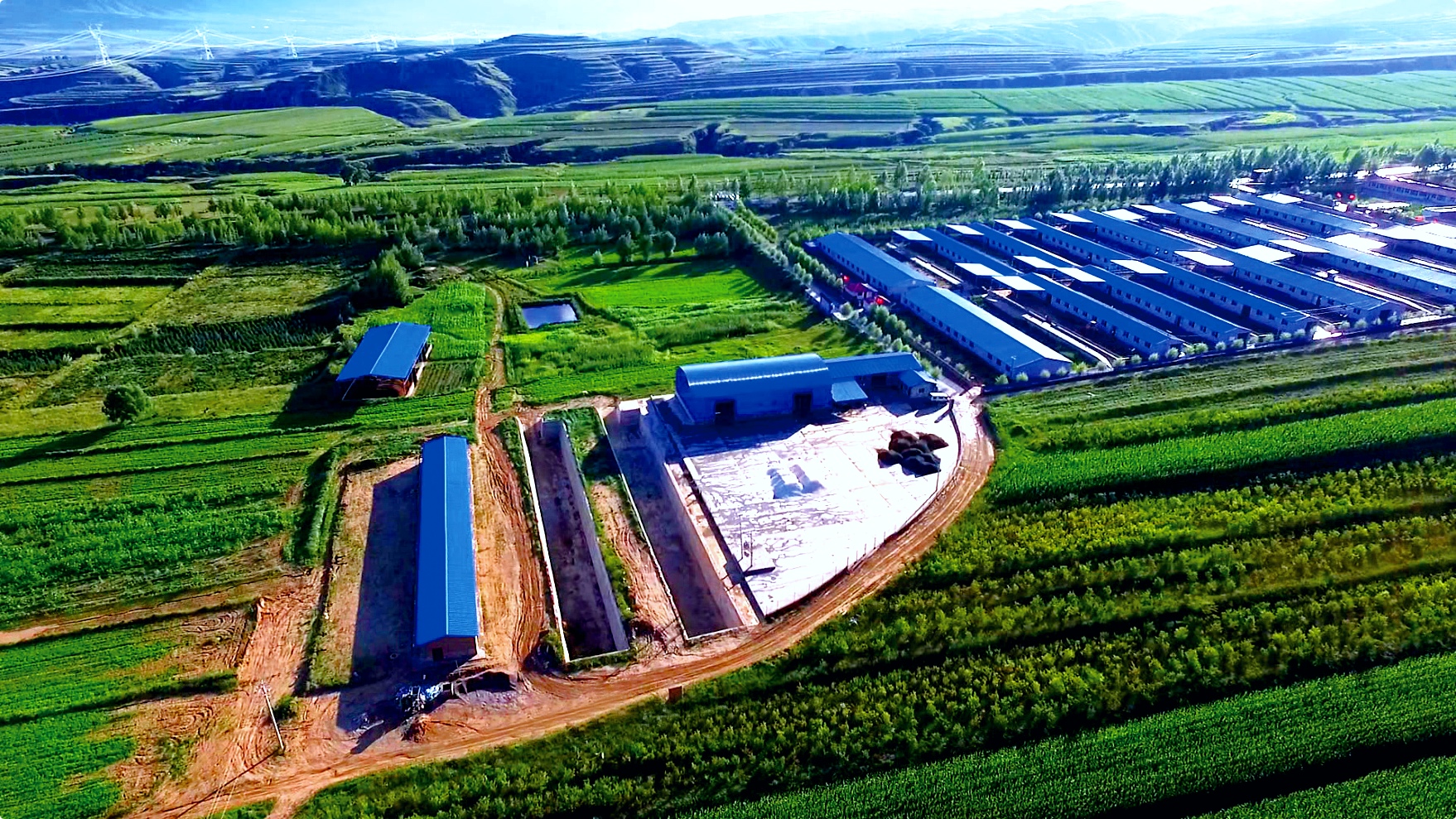Fanshi County Tianhe Animal Husbandry Co., Ltd. – Product photos 2