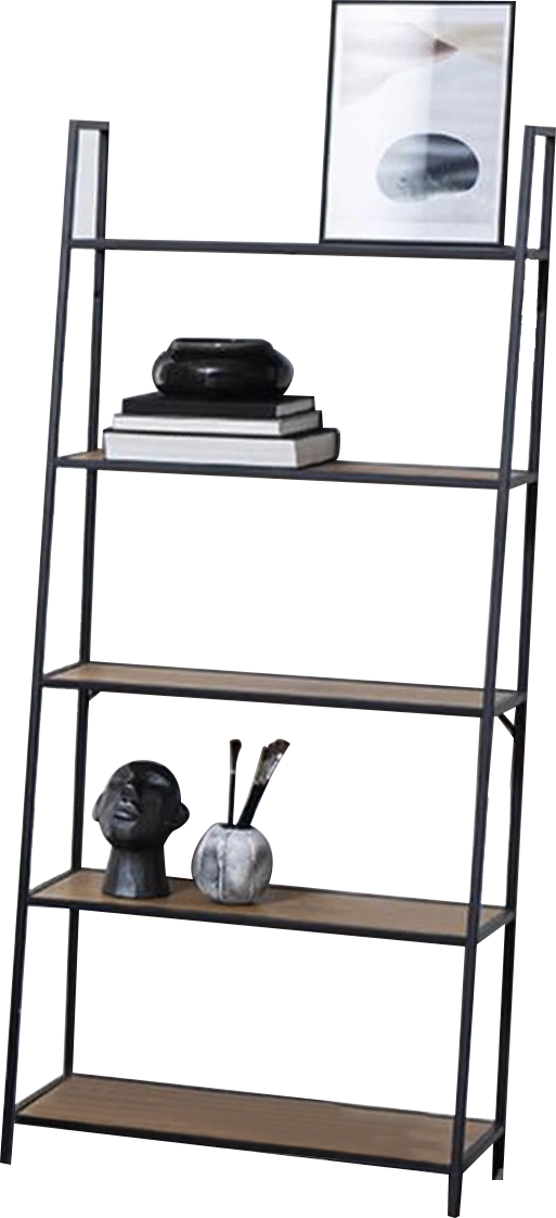 5 Tier Ladder Shelf