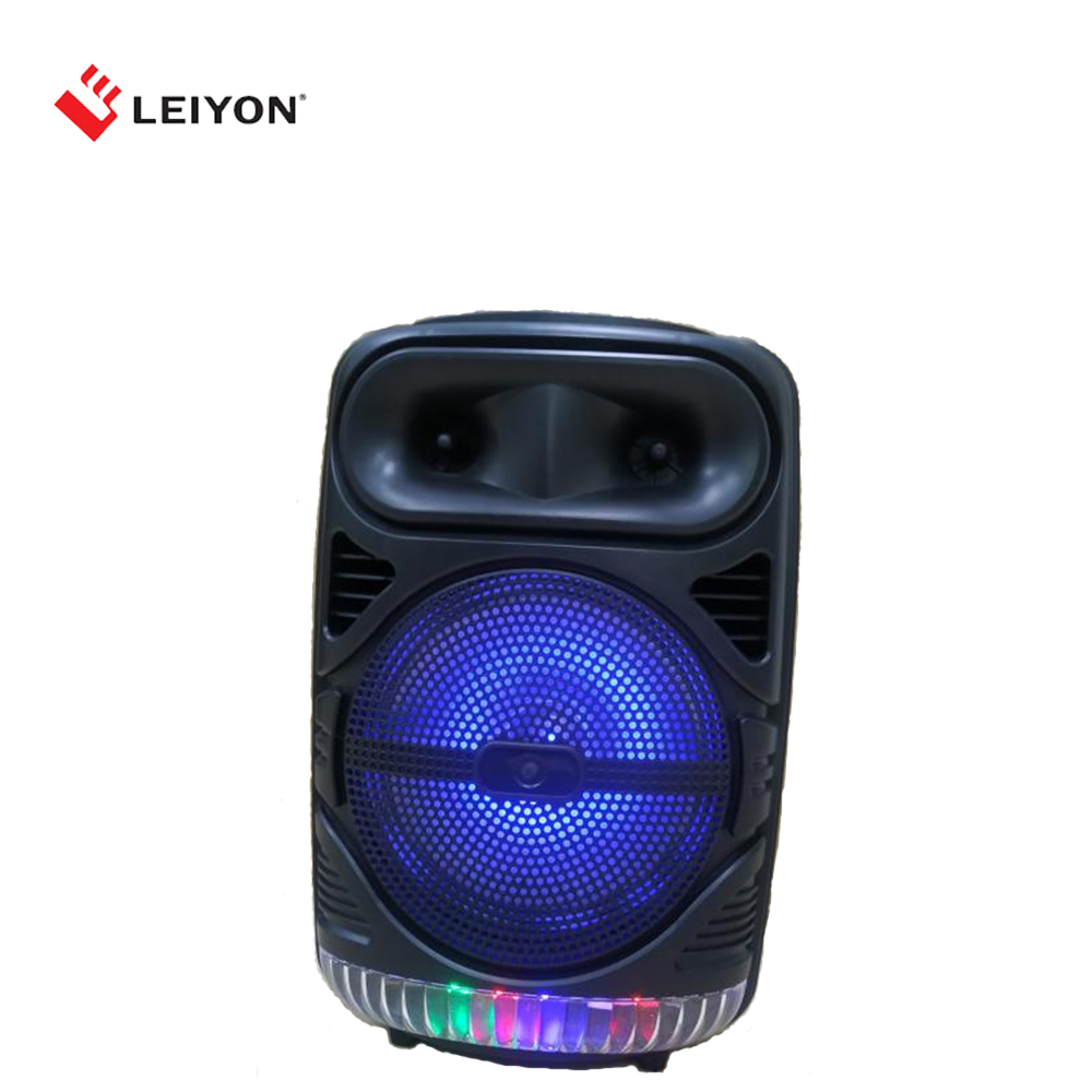 8 Inch Portable Bluetooth speaker
