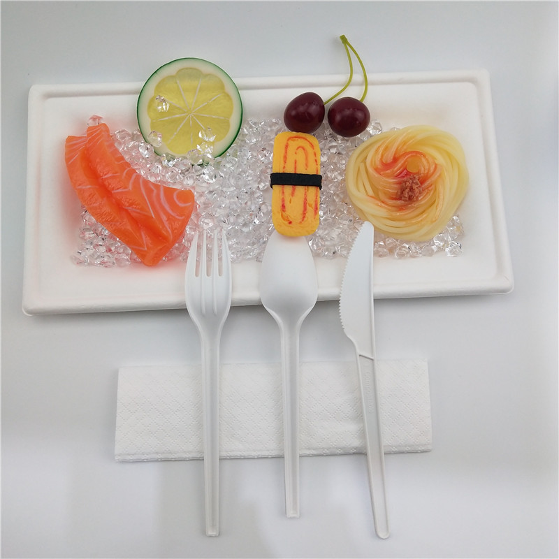 4.5g Biodegradable CPLA Spoon with Napkin Polybag Bag Packaging