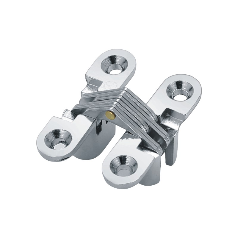 Concealed hinge