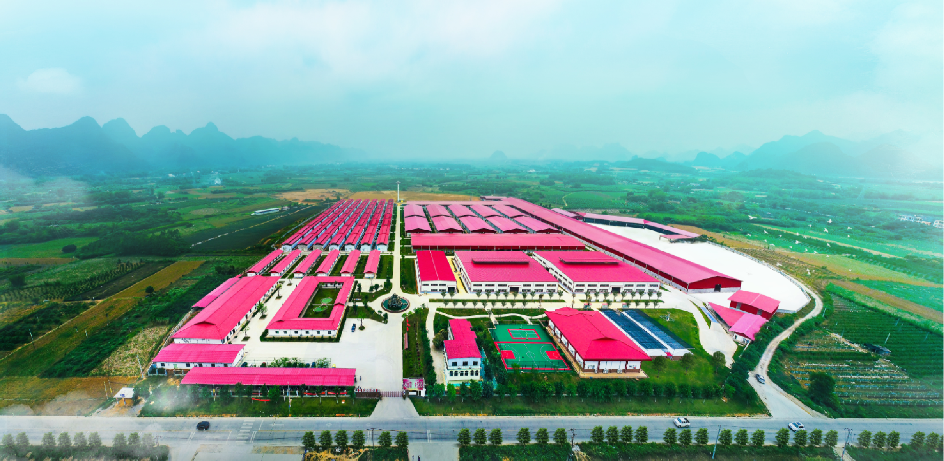Guangxi Junbao Yan Food Co., Ltd. – 银耳 1