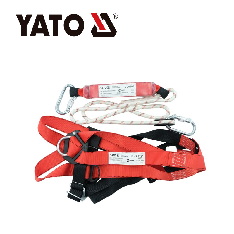 Harness And Lanyard Set